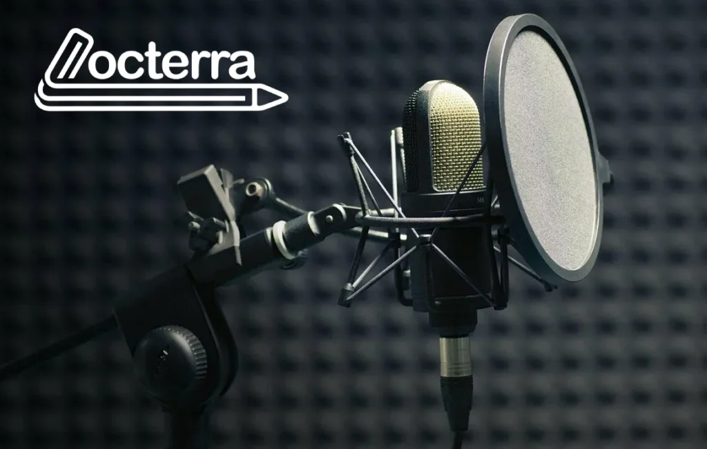 What Are Professional Dubbing Services?