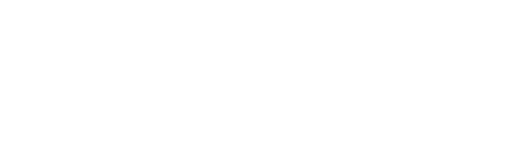 final logo (white)